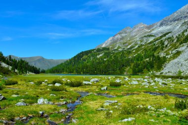 Yüksek Tauern, Orta Doğu Alpleri 'nde akan dereyle Karwassersee' deki dağları haykıran dağlık çayır.