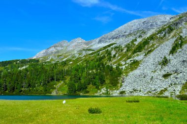 Karwassersee Gölü kıyısındaki çayır Avusturya 'nın Orta Doğu Alpleri, Tauern' deki dağları haykırıyor.