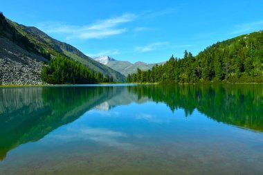 Sahilde kozalaklı bir ormanı olan Karwasser Alp Gölü manzarası ve Avusturya 'nın Orta Doğu Alpleri' ndeki High Tauern 'de sudaki yansıması.