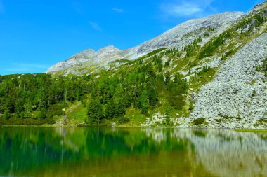 Yüksek Tauern, Orta Doğu Alpleri, Avusturya 'da Alp Dağları' nda, Alp Dağları 'nın tepesindeki dağlarda su ve kozalaklı bir orman yansıması var.
