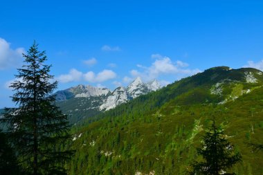 Slovenya 'nın Gorenjska kentindeki Draski vrh dağ zirvesi ile Julian Alplerindeki dağlık manzara