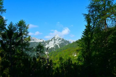 Julian Alpleri, Gorenjska, Slovenya 'daki Draski Vrh dağ zirvesi manzarası