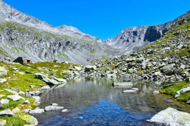 Yüksek Tauern, CArinthia, Avusturya 'daki Dosen Alp Vadisi' nde su ve dağ manzarasında yansıması olan bir gölet.