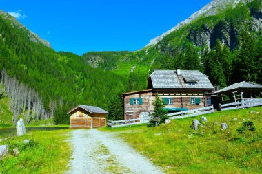 Dosen Alp Vadisi 'ndeki yüksek Tauern, Carinthia, Avusturya' da orman kaplı yamaçları olan Konrad dağ kulübesi.