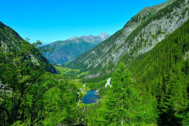 Dosen vadisi, Konrad gölü ve yüksek Tauern dağlarındaki kozalaklı ladin ormanı manzarası, Carinthia, Avusturya