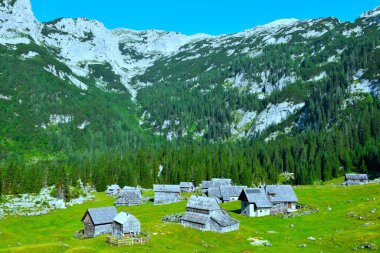 Julian Alpleri 'ndeki dağlarda, Gorenjska, Slovenya' daki ovalarda ahşap kulübeleri olan Laz Alp otlakları