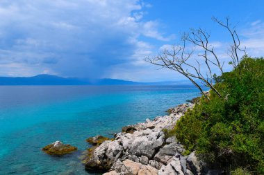 Hırvatistan 'ın Kvarner kentindeki Krk adasındaki Adriyatik denizi pahasına kayaların üzerindeki ağaçlar, uzak mesafede anakara bulunuyor.
