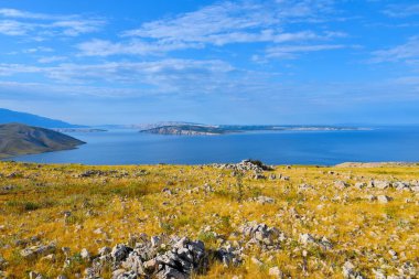 Hırvatistan 'ın Kvarner kentindeki Rab adası ile Krk adasında kuru çimenli Rocky çayırı