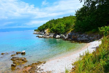 Hırvatistan 'ın Krk kentinde Adriyatik Denizi kıyısında ormanlık bir sahil