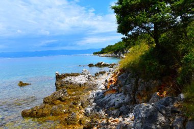 Hırvatistan 'ın Kvarner kentindeki Adriyatik Denizi' nin üzerinde bir ağaç bulunan Krk kıyısındaki kayalar
