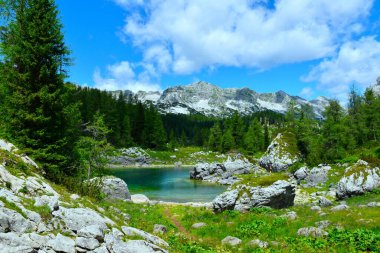 Julian Alpleri, Gorenjska, Slovenya 'daki Triglav göl vadisindeki Dvojno Jezero sahili manzarası