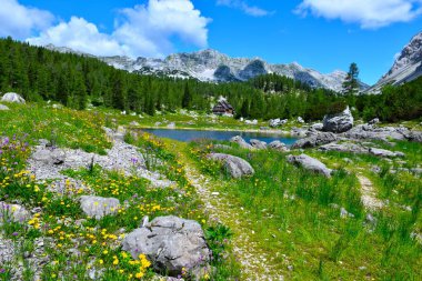 Rengarenk bir çayırdan geçen patika sarı ve pembe çiçeklerle dolu bir göl Julian Alpleri 'nde bir dağ kulübesi, Gorenjska, Slovenya