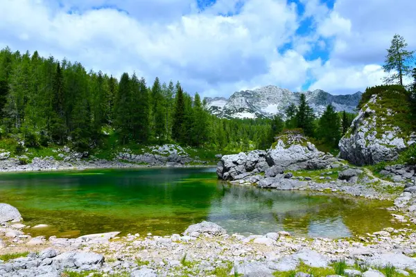 Triglav Gölü Vadisi 'ndeki Dvojno Jezero' nun yeşil renkli suları, Julian Alpleri, Gorenjska, Slovenya
