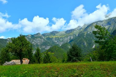 Resia, Friuli giulia, İtalya 'daki Kanin Sıradağları' nda ağaçları ve dağları olan çayır.
