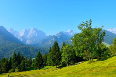 Geniş yapraklı ve kozalaklı yeşil çayır ve Slovenya 'nın Gorenjska kentindeki Julian Alplerinde bir dağ zirvesi