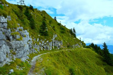 Soriska Planina, Gorenjska, Slovenya 'da dik çim örtülü yürüyüş yolu