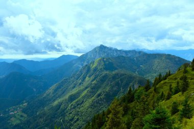 Crna Prst dağı ve ormanı Julian Alpleri, Gorenjska, Slovenya 'daki yamaçları kapladı