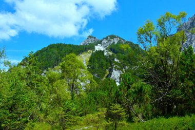 Slovenya 'nın Gorenjska kentindeki Visoka Tepesi' nin Tamar Dağı 'ndaki manzarası