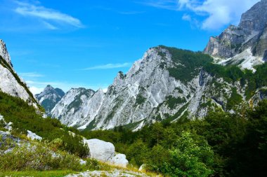 Tamar Alp Vadisi üzerindeki Slemenova Spica Dağı ve Slovenya 'nın Gorenjska kentindeki geniş yapraklı orman körüğü manzarası