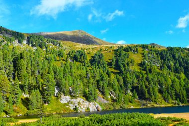 Kozalaklı bir ormanın üzerindeki dağ zirvesi ve Solktler doğa parkındaki Zwiefler gölü körüğü, Niedere Tauern, Styria, Avusturya