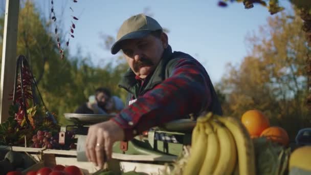 Agriculteur Moustache Touffue Prépare Point Vente Début Une Journée Travail — Video