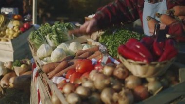 Çiftçi havuç serer. Satış noktasının sahibi verimli iş gününün başlamasını dört gözle bekliyor. Son sınıf öğrencisi mutlu, sevdiği işi yapıyor. Vejetaryen ve organik yiyecekler. Tarım. Yakın çekim görünümü.