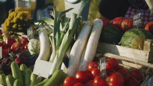 Fermier Dépose Des Légumes Propriétaire Point Vente Attend Avec Impatience — Video