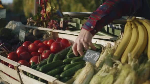Rolnik Układa Warzywa Lub Owoce Przygotowuje Punkt Sprzedaży Rozpoczęcia Produktywnego — Wideo stockowe