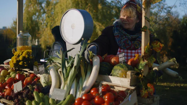 Agricultor Estabelece Frutas Legumes Proprietário Ponto Venda Está Ansioso Para — Fotografia de Stock