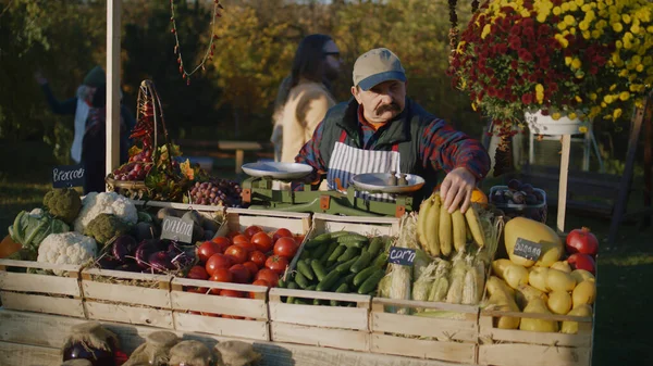 stock image Farmer with bushy mustache lays out fruits and vegetables. Owner of point of sale looks forward to start productive workday. Elderly man engages favorite job. Vegetarian and organic food. Agriculture.