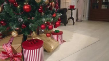 Mutlu genç kız Noel 'de ailesiyle birlikte oturma odasına girer. O, süslü Noel ağacının altında hediyelerden hoşlanır. Noel 'de ya da yeni yılda evde sıcak bir atmosfer olur. Mutlu bir çocukluk. Kış tatili.