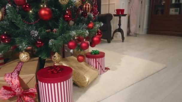 Happy Young Girl Enters Living Room Parents Christmas She Enjoys — Stock Video