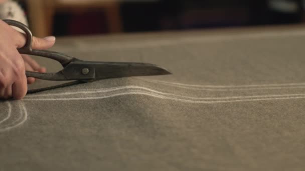 Close Shot Female Tailor Cutting Fabric According Sketch Using Scissors — Stock Video