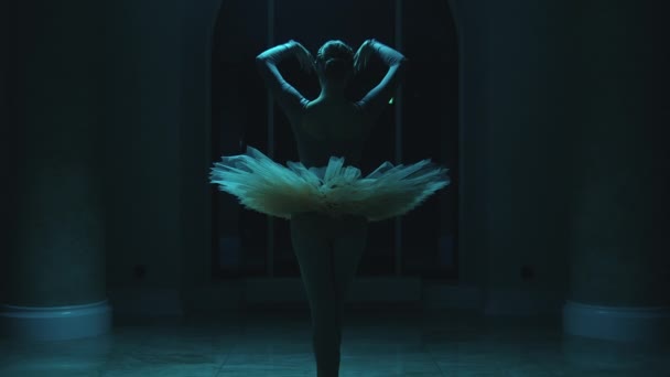 夜の暗いオペラロビーの窓の前で踊るバレエのチュチュで優雅なバレリーナの映画撮影 女性バレエダンサーは劇場でのショーの前にリハーサルをします 古典バレエ芸術 黒白鳥 — ストック動画