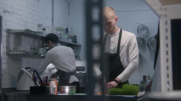 一群专业厨师在厨房里做美味的菜肴 围裙下的男人站在桌子旁边切蔬菜 厨师控制工作过程 餐厅团队合作的概念 Dolly Shot — 图库视频影像