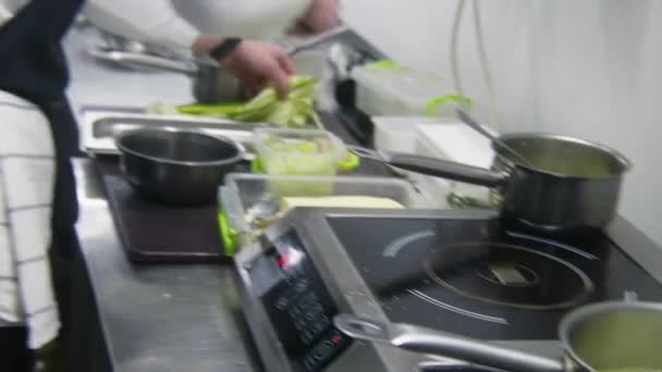 Bucătarul Gătește Mâncare Delicioasă Aragaz Gătitul Masculin Lucrează Bucătărie Farfurie — Videoclip de stoc