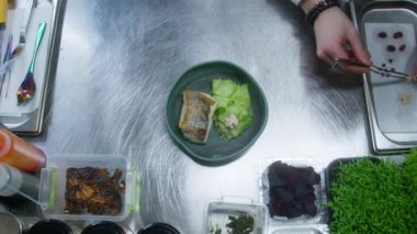 Erkek aşçı bulaşık sunumu yapar. Şef kızarmış balık ve haşlanmış sebze servisini bitirir, üstüne ceviz ve böğürtlen koyar. Profesyonel gurme mutfağı olan bir restoran. Kamu hizmeti.