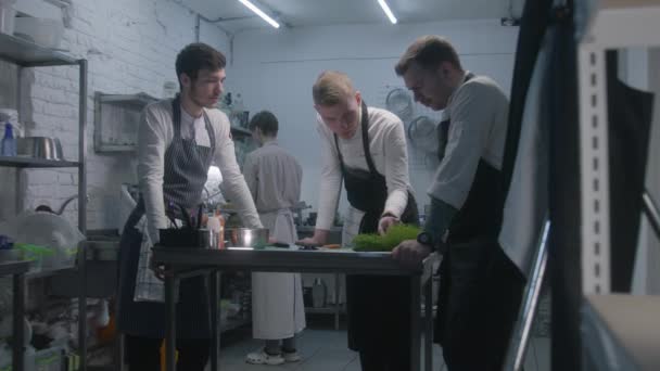 Ενήλικες Σεφ Μάγειρας Τους Εργαζόμενους Στέκεται Δίπλα Στο Γραφείο Κουζίνα — Αρχείο Βίντεο