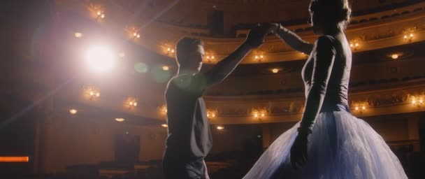 Bellissimi Ballerini Parlano Praticano Movimenti Balletto Durante Prove Coreografiche Sul — Video Stock