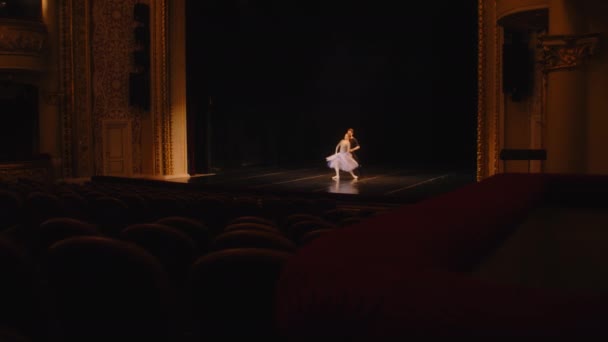 确定芭蕾舞演员在经典戏剧舞台上表演舞蹈的镜头 男男女女准备戏剧表演 从观众席上射击 戏剧性的照明 舞台上的全景 — 图库视频影像