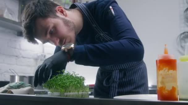 Chef Maschile Prepara Piatto Presentazione Servire Cuoco Taglia Pezzi Microverdi — Video Stock