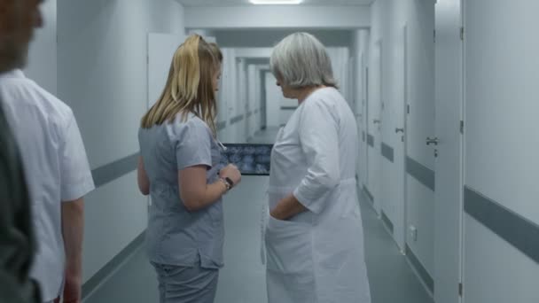 Enfermeira Mostra Imagem Ressonância Magnética Tomografia Computadorizada Cérebro Doutor Fêmea — Vídeo de Stock