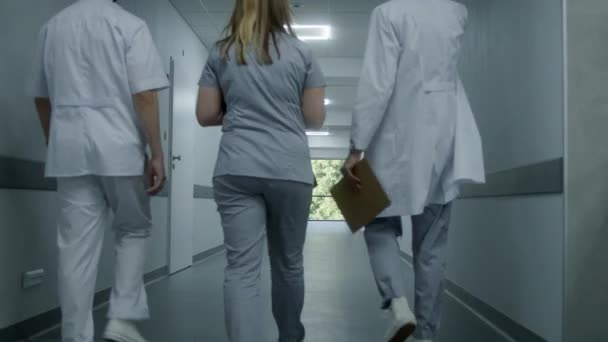 Rückenansicht Der Ärzte Uniform Die Den Modernen Klinikflur Entlanggehen Berufsmediziner — Stockvideo