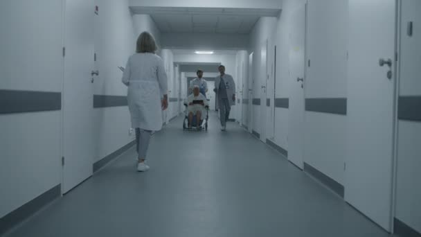 Hivatásos Orvosok Kerekesszékes Idős Beteget Szállítanak Orvosi Szobába Megvitatják Orvosi — Stock videók