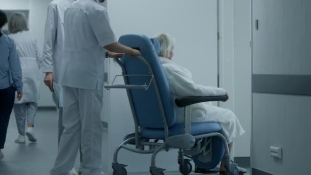 医師は 車椅子の手術室や手術室から高齢の女性を連れ出します 高齢者は病院の部屋に廊下を歩いている クリニックや医療センターの廊下の医療スタッフと患者 — ストック動画