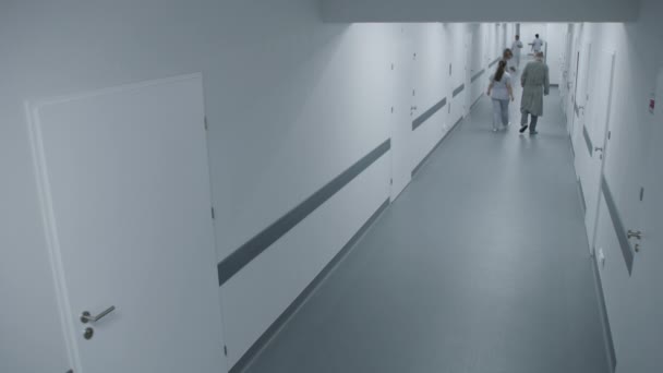 다양한 간호사 전문가 환자가 걷습니다 의료진은 현대적인 진료소 시설에서 일합니다 — 비디오