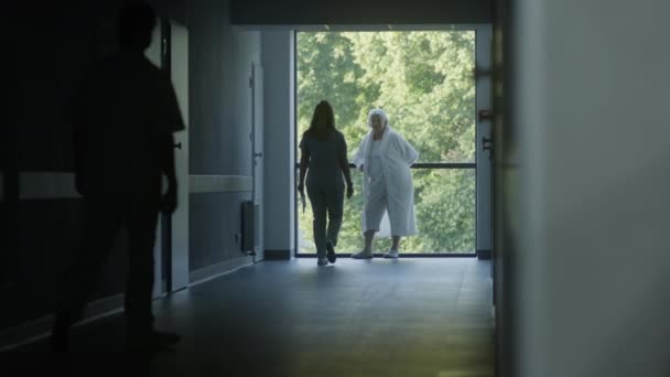 Couloir Clinique Médecins Médecins Professionnels Marchent Infirmière Avec Des Papiers — Video