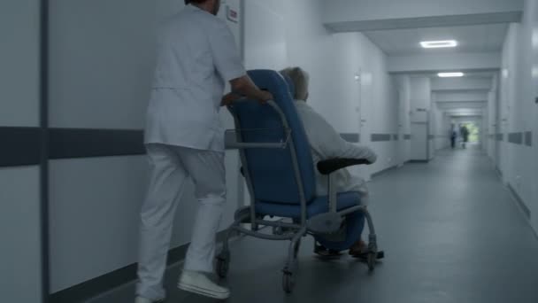 保健专家将老年女性病人运送到诊所走廊尽头的医务室 老年男子走在医疗中心的走廊上 与坐着轮椅的老年妇女交谈 工作的医务人员 — 图库视频影像