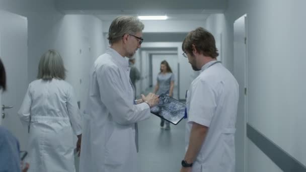 Manlig Läkare Visar Mrt Eller Datortomografi Hjärnskanning Bild Till Kollega — Stockvideo