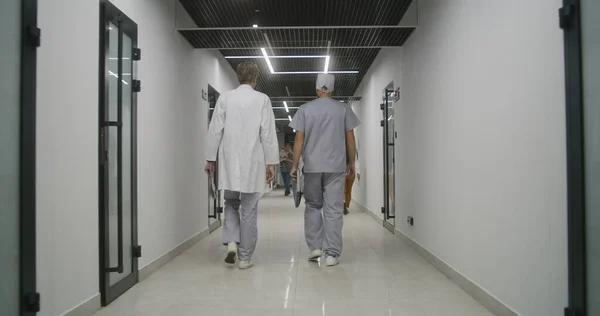 Doctor with male nurse walk the clinic corridor. Colleagues discuss treatment, diagnosis or medical test results. Medical staff and people in hospital or medical center. Healthcare system. Back view.